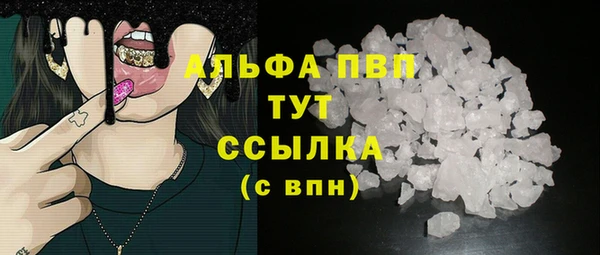 гашик Осинники