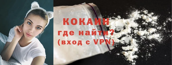 гашик Осинники