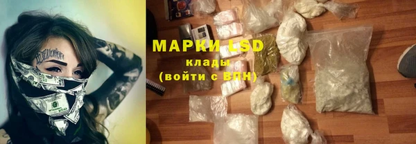 гашик Осинники
