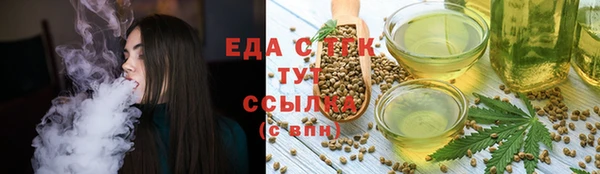 гашик Осинники