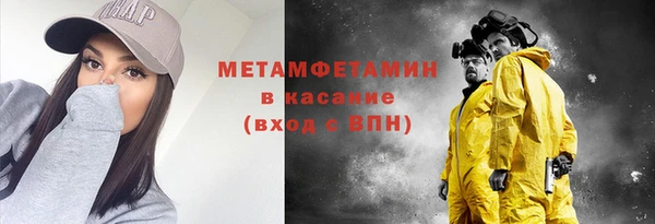 прущие грибы Дмитров