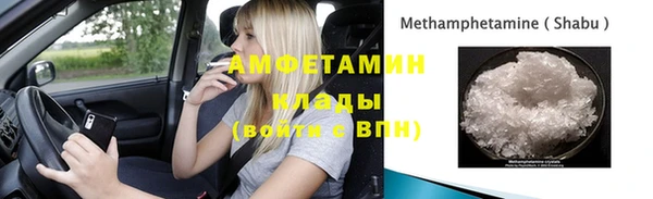 гашик Осинники