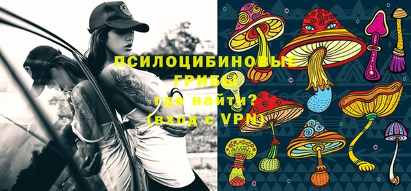 марки lsd Пестово