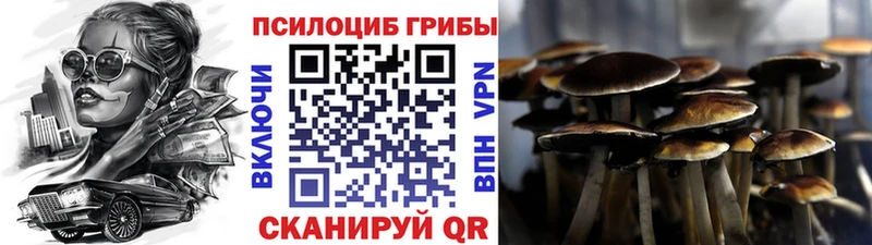 Галлюциногенные грибы Psilocybine cubensis  сколько стоит  Рыбное 